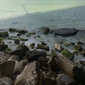 Meet your Posher, Katlynn